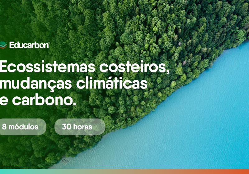 Ecossistemas costeiros e carbono azul: impactos, governança e soluções na prática.
