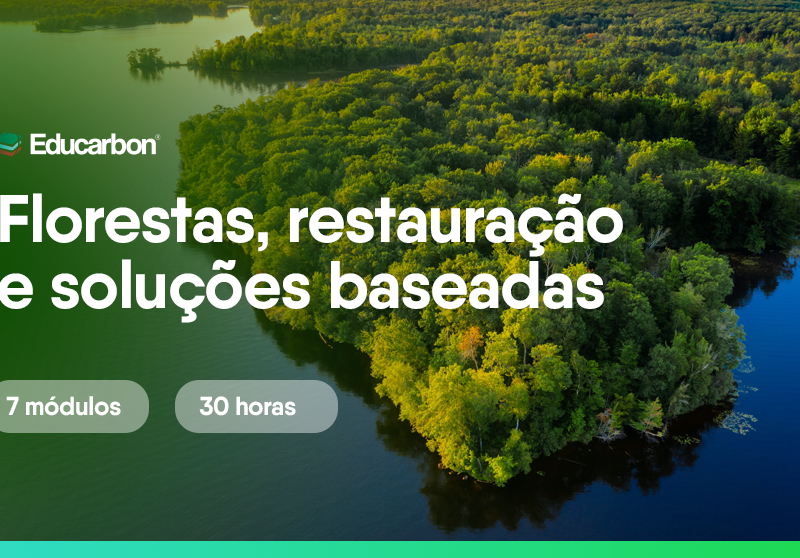 Florestas, carbono e clima: do desmatamento à restauração com soluções práticas.